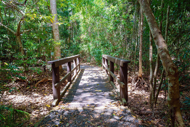 Een verhoogde boardwalk naar inheemse wetlands waardoor voetgangers moerasland kunnen oversteken en het milieu kunnen beschermen - Foto, afbeelding