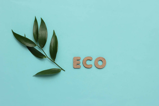 eco studio shot. Green leaflets and the inscription eco on blue studio background. - Photo, Image