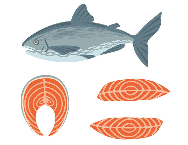 Set di bistecca e salmone intero carne rossa pesce piatto vettore illustrazione isolato su sfondo bianco. - Vettoriali, immagini
