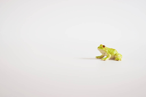 miniaturowa zielona żaba zabawka, izolowana plastikowa żaba na białym tle miejsca na tekst. - Zdjęcie, obraz
