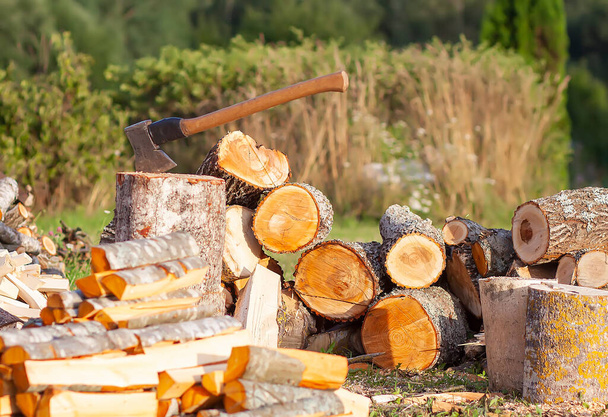 Подрібнені дрова і дерев'яна сокира на зеленому полі. Збирання дров на зимовий сезон
. - Фото, зображення