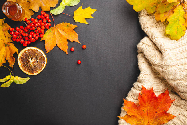 Herbst Hintergrund Draufsicht - Foto, Bild