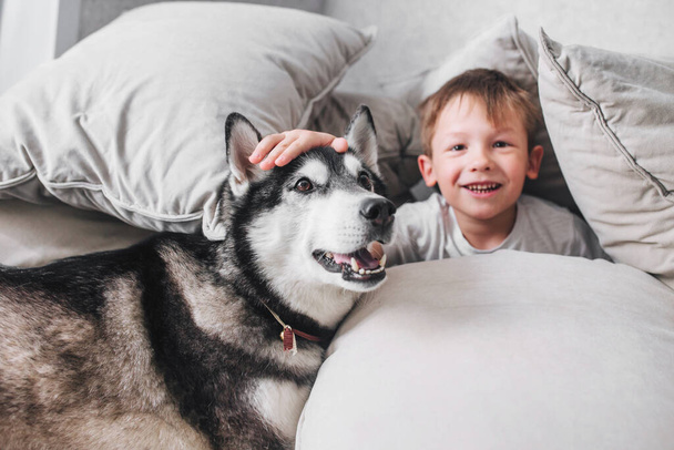 Sevimli küçük çocuk kanepede uzanıp evde köpekle oynuyor. - Fotoğraf, Görsel