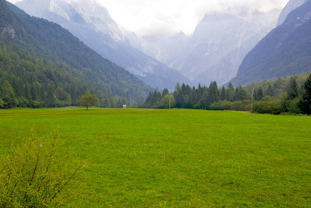prairie alpine dans les montagnes en Slovénie - Photo, image