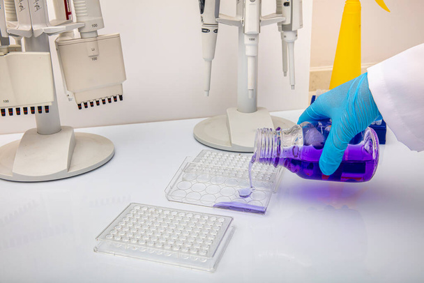 Pipeta multicanal cargando muestras biológicas en microplaca para prueba en laboratorio / Pipeta multicanal cargando muestras en microplaca pcr con 96 pozos. - Foto, imagen