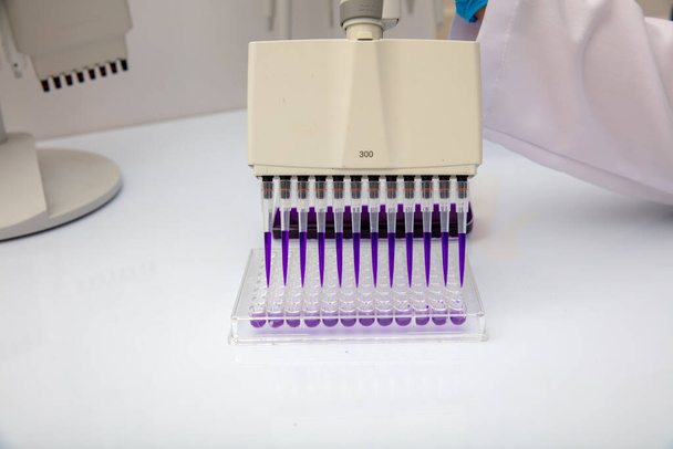 Πολλαπλών διαύλων σιφώνιο φόρτωσης βιολογικών δειγμάτων σε μικροπλάκα για δοκιμή στο εργαστήριο / Πολλαπλών διαύλων δείγματα φορτίου σιφώνων σε μικροπλάκα PCR με 96 κοιλότητες. - Φωτογραφία, εικόνα