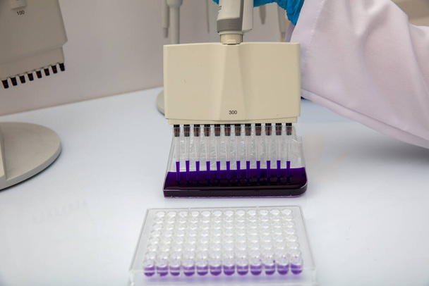 Laboratuvar / Çok kanallı pipet yükleme örneklerinde test için mikro plakaya 96 kuyuya biyolojik örnekler yükleyen çok kanallı pipet.. - Fotoğraf, Görsel