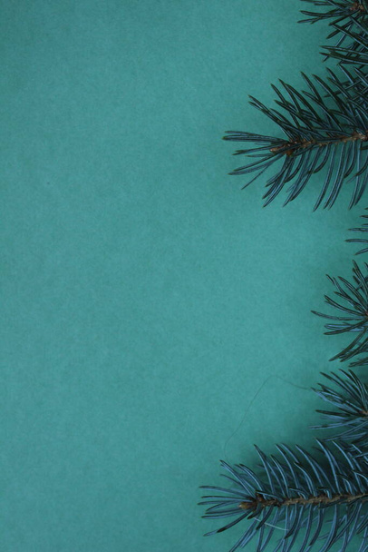 Yeşil naneli turkuaz arka planda mavi çam ladin dalı. Yeni yıl arkaplanını kapatın. - Fotoğraf, Görsel
