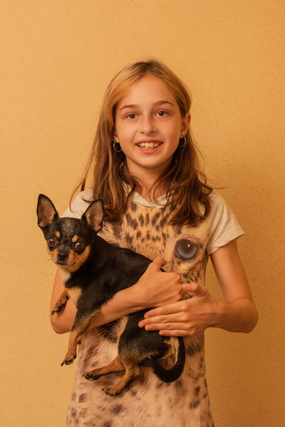 Entzückendes kleines Mädchen mit Chihuahua-Welpen im Stehen. Mädchen mit Chihuahua-Hunden im Arm. Mädchen im Alter von 9 oder 10 Jahren mit einem Haustier auf dem Arm. Das Konzept der Tierliebe. - Foto, Bild