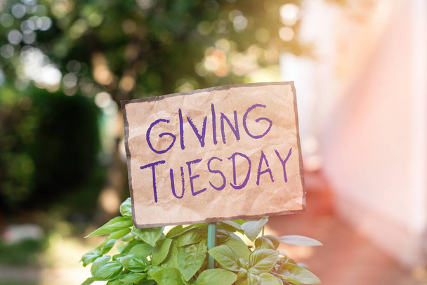 Schreiben Notiz zeigt Giving Tuesday. Business-Foto zeigt den internationalen Tag der wohltätigen Spenden Hashtag Aktivismus Einfaches Papier am Stick befestigt und in der Wiese platziert. - Foto, Bild