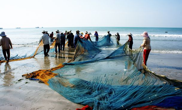 Grupo de pescadores tirar de la red de pesca
 - Foto, imagen