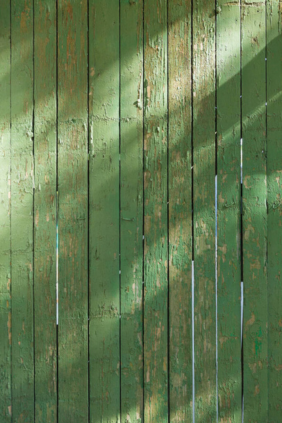 egy közeli egy zöld kerítés - Fotó, kép
