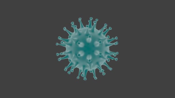 Trojrozměrný koronavirus se otáčí na šedém pozadí. Covid 19. Sars-CoV-2. - Záběry, video