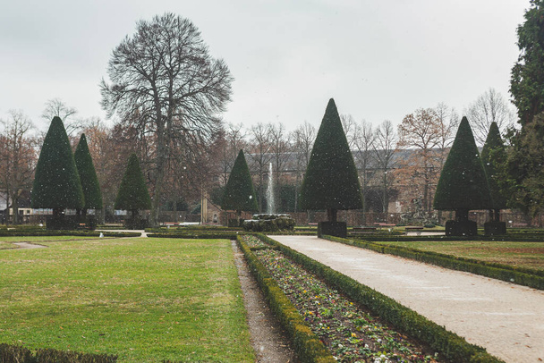 Конически вырезанные тисы в южном саду Вюрцбургского дворового сада, расположенного на краю городских укреплений в стиле барокко со своими массивными несущими стенами - Фото, изображение