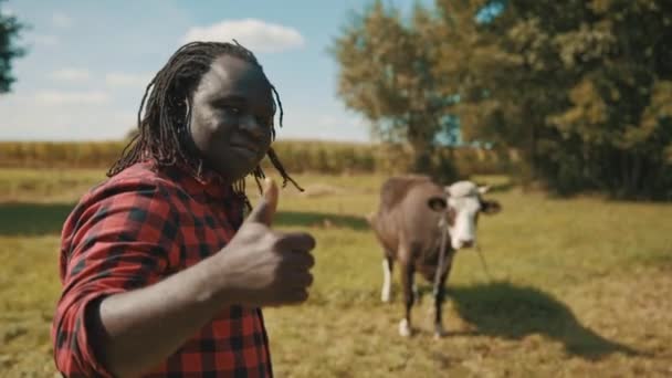 Afrikaanse boer met duimen omhoog op het boerenveld met koe op de achtergrond - Video