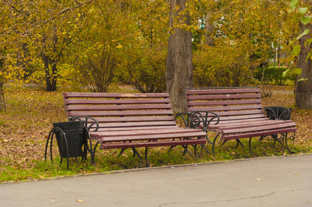 Dřevěná lavička pod oranžovými a žlutými stromy - Fotografie, Obrázek