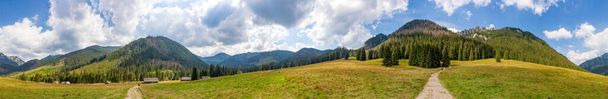 Vue panoramique de la vallée de Chocholowska (parc national des Tatra)). - Photo, image