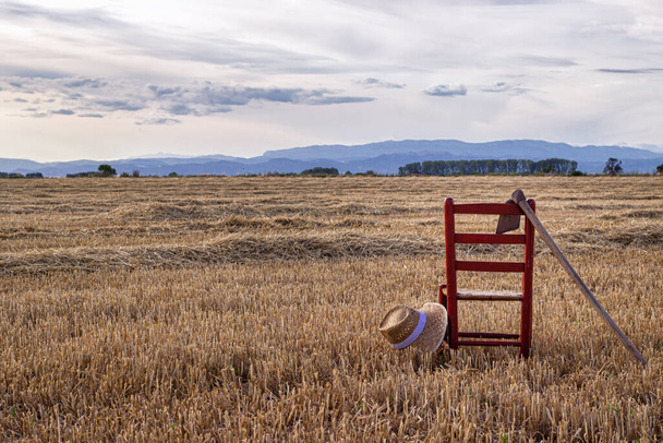 Stoel met schoffel en hoed in het midden van een graanveld, lokaal landbouwconcept - Foto, afbeelding