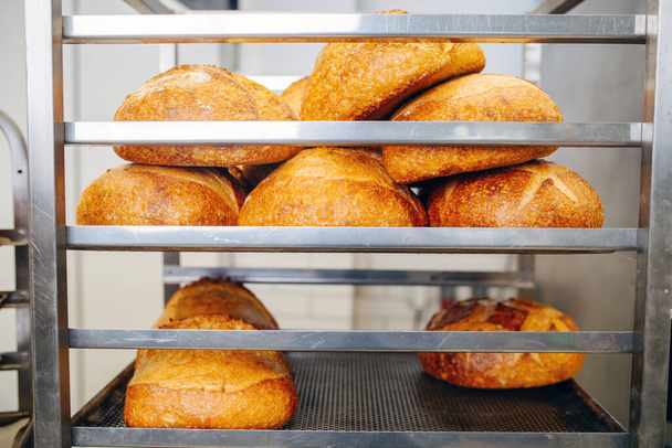 Freshly baked crispy golden bread loafs cooling on an iron shelf with trays. Close up. Side view. - Photo, Image
