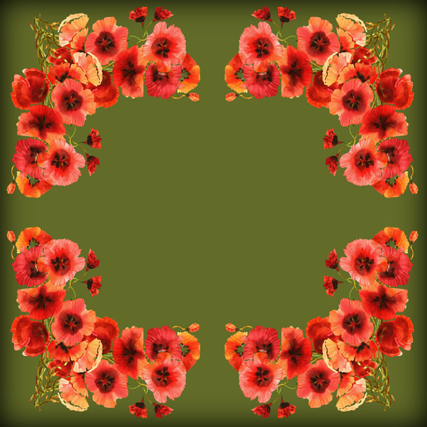 Poppies Frame - Фото, зображення