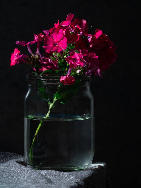still life red garden flowers in a glass jar on a dark background - Foto, imagen