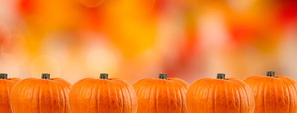 Pumpkins on an autumn bokeh background. Halloween background. Banner. Copy space. - Fotoğraf, Görsel