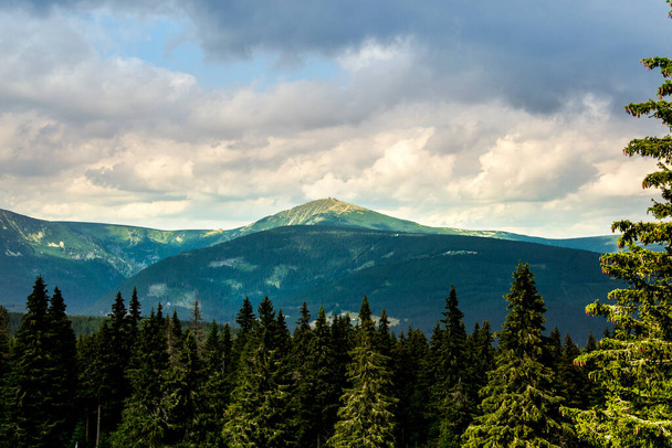 Snezka - pohled z Cernohorskeho raseliniste \ Snezka - view from Cernohorske raseliniste - Фото, изображение