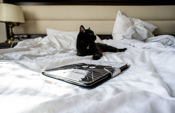 Fekete macska fehér folt fekszik fehér ágy közel könyv macskák a borítón. Háziállatokkal való utazás - Fotó, kép
