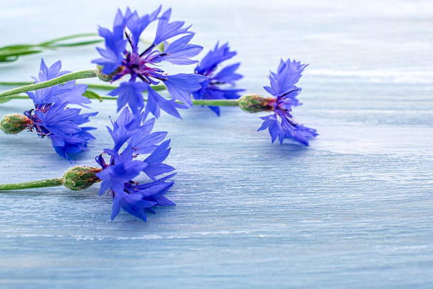 Nature morte avec bouquet de fleurs sauvages, Branche de fleurs bleues - Photo, image