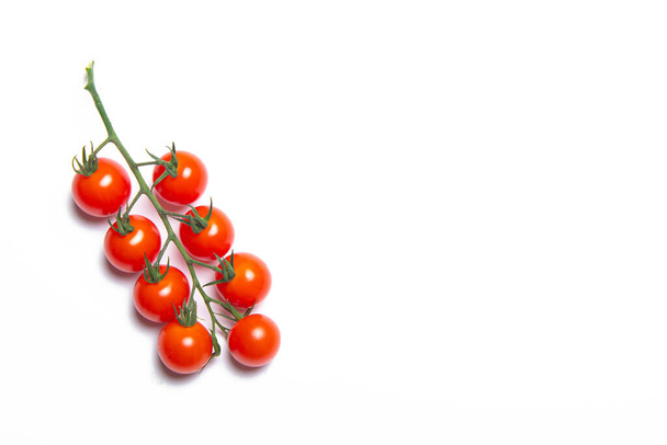 Cherry tomatoes branch isolated on white background . Red tomato. Tomatoes on a branch. Isolated background. Article about vegetables. Decoration. Copy space. Studio photo of vegetables - Photo, Image