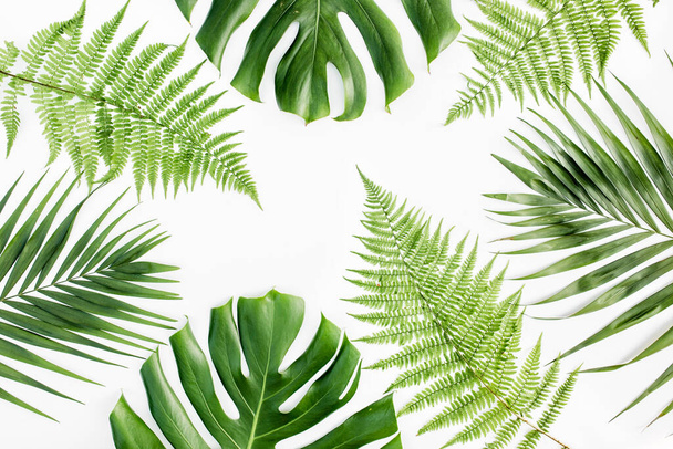 Fondo, patrón con exóticas hojas de palma tropical monstera sobre fondo blanco. Piso tendido, vista superior. - Foto, Imagen