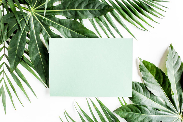 Tropical palm leaves Aralia, paper blank isolated on white background. Tropical nature concept. - Фото, изображение