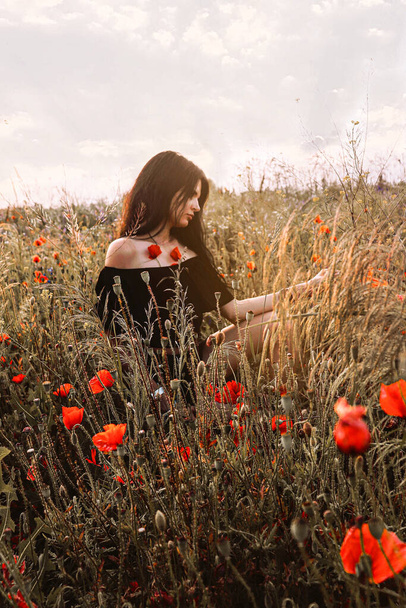 Naturalna harmonia. Piękna młoda brunetka kobieta z ciemnobrązowymi długimi włosami na ramionach czarna sukienka siedzi w profilu w dzikie maki kwiaty i kolce letnie pole i dotykając roślin marzycielski. - Zdjęcie, obraz