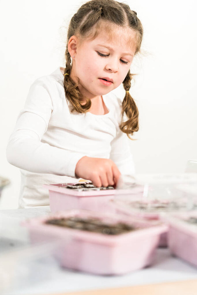 Kleines Mädchen pflanzt während der Hausaufgabenbetreuung Samen in ein Indoor-Startertablett. - Foto, Bild