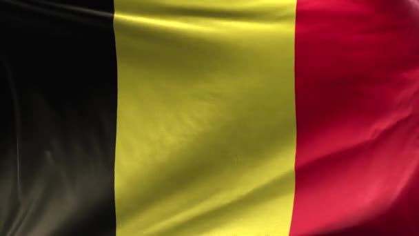 Флаг Бельгии Loop 3D - Кадры, видео