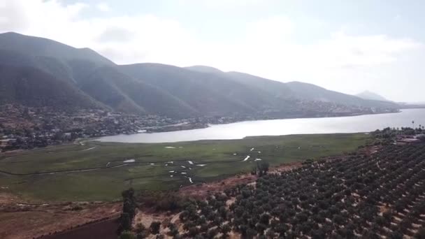 Luftaufnahme der Weinberge an der Küste von Ensenada - Filmmaterial, Video