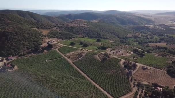 Aerial shot of Ensenada coastal vineyards - Footage, Video
