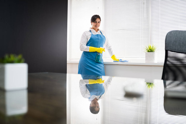 Professional House Cleaning Service. Room Cleaner And Housekeeper - Fotoğraf, Görsel