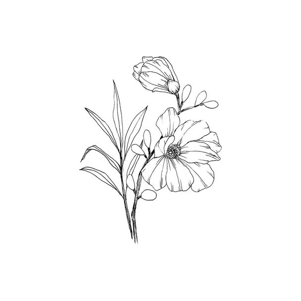 Simple and clean hand drawn floral. Sketch style botanical illustration. Great for invitation, greeting card, packages, wrapping, etc.  - Vector, afbeelding