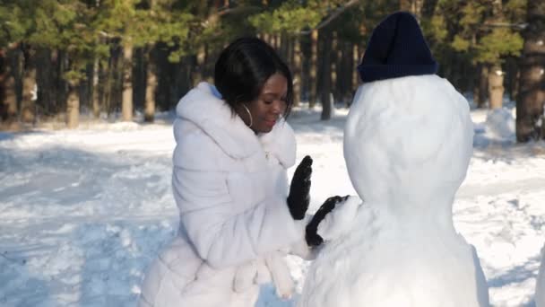 Donna afro-americana fa pupazzo di neve tra la natura invernale - Filmati, video