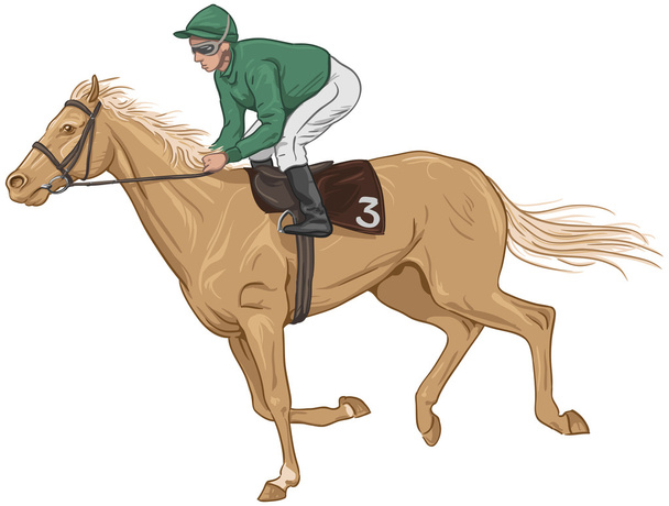 жокей Паломіно скаковая кінь - Вектор, зображення