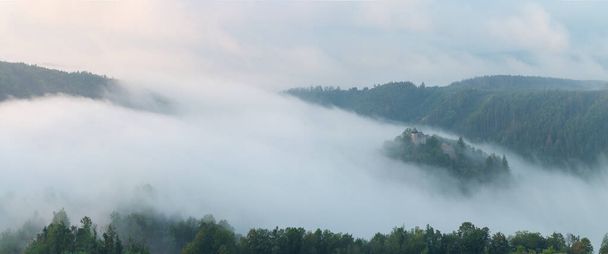 Misty trees from above. Aerial view of Morning fog and sunrise in autumn. Beautiful romantic atmosphere in landscape. Summer time in national park. Universal panoramic landscape view of spruce forest. - Photo, Image