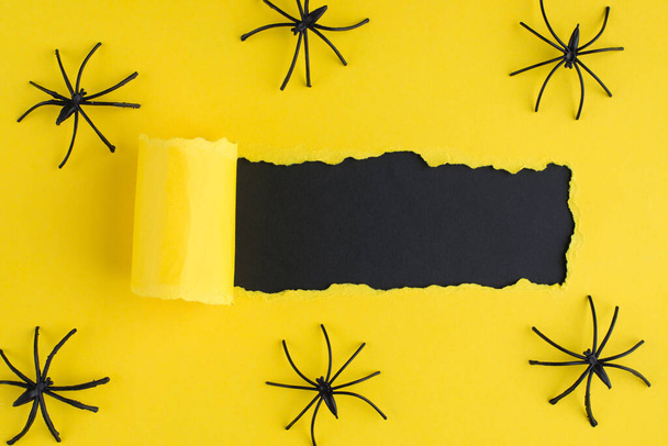 Topo acima vista aérea foto de rasgado papel amarelo brilhante sobre fundo preto com aranhas decorativas - Foto, Imagem