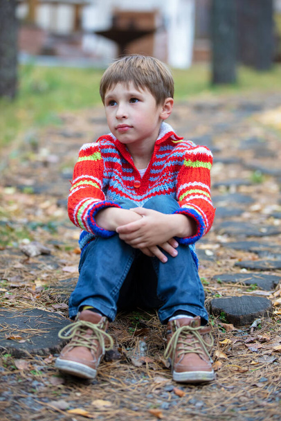 Krásný chlapec sedí na pozadí přírody. Dítě na podzimní procházce. - Fotografie, Obrázek
