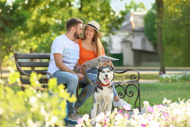 Молодая пара с симпатичной собакой Хаски в парке - Фото, изображение