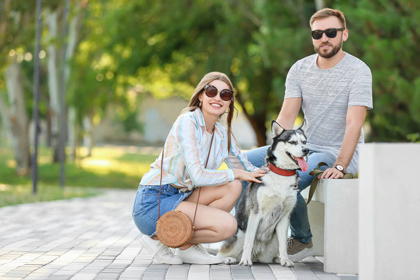 Jovem casal com bonito Husky cão no parque - Foto, Imagem