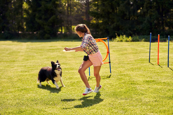 Border Collie Hund und eine Frau auf einem Agility-Feld - Foto, Bild