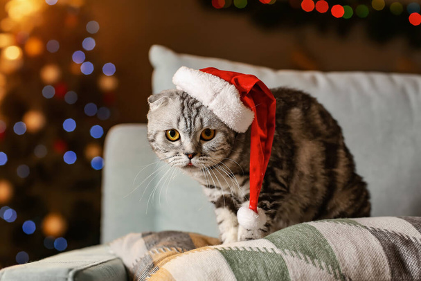 Cute funny cat in Santa hat at home on Christmas eve - Foto, afbeelding
