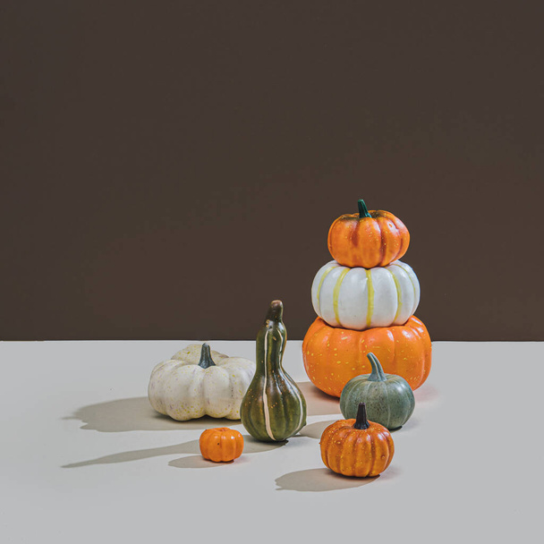 Retro styled conceptual still life arrangement with pumpkins and hard shadows. Halloween holiday theme creative concept. Autumn colors. Modern aesthetic. Copy space. - Фото, изображение