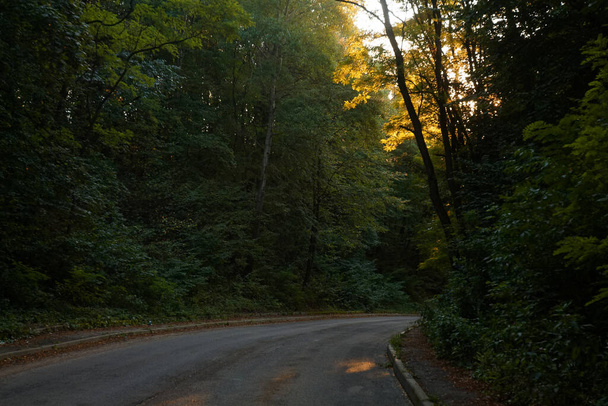 Осенний пейзаж сельской дороги в лиственных лесах туманным утром 2020 года - Фото, изображение